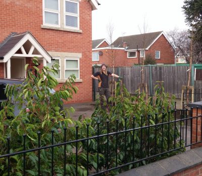 Derby Tree Planting 7
